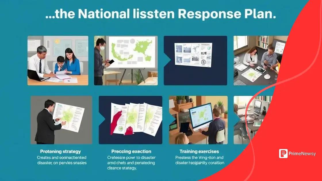 How to create an effective national disaster response plan